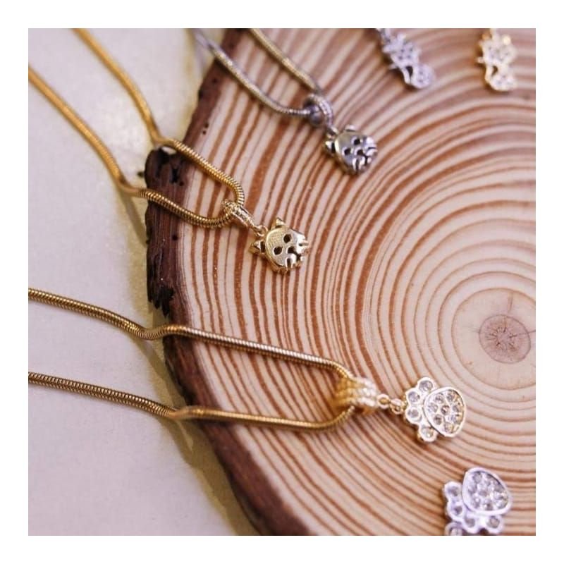 Colar Pet com Pingente Pata pequena cravejada Zirconia Folheada Ródio